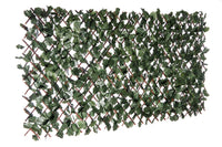Willow Expandable Ivy Trellis - 36