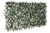 Willow Expandable Ivy Trellis - 40\" x 80\"