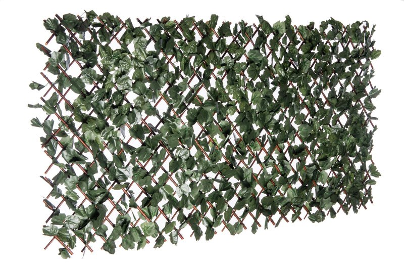 Willow Expandable Ivy Trellis - 40\" x 80\"