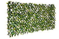 Willow Expandable Laurel Trellis - 40