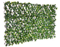 Willow Expandable Gardenia Trellis - 40