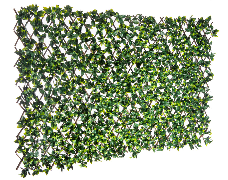 Willow Expandable Gardenia Trellis - 40\" x 80\" 