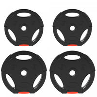 Soozier Set Of 4 1-inch Weight Plates With 3 Grips, 2 X 11lbs + 2 X 5.5lbs