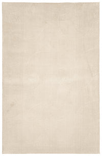 Elion Contemporary Cream Washable Rug 5'0