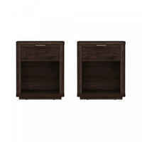 Evelyn Modern 20