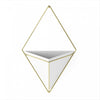 Umbra Trigg Wall Planter Display - White and Brass