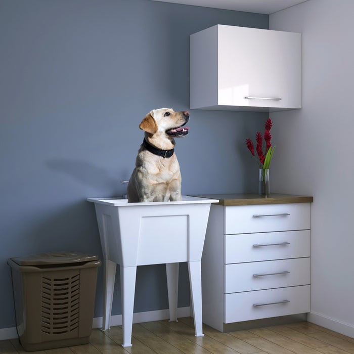 Palary Laundry Tub Accent Cabinet - White