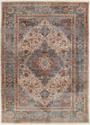 Irina Traditional 9'0\" x Area Rug in Multi Indoor Area Rug