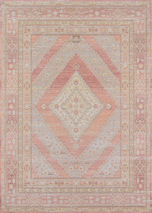 Poppy Traditional 9'3\" x 11'10\" Area Rug in Pink Indoor Area Rug