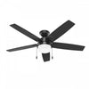 Anisten Ceiling Fan with Light Fixture - Black
