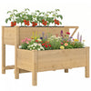Outsunny Wooden Raised Garden Bed, 2-Tier Raised Planter with Shelf