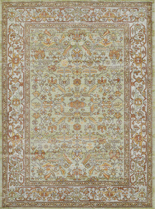 Hailey Traditional 6'7\" x 9'6\" Area Rug in Green Indoor Area Rug