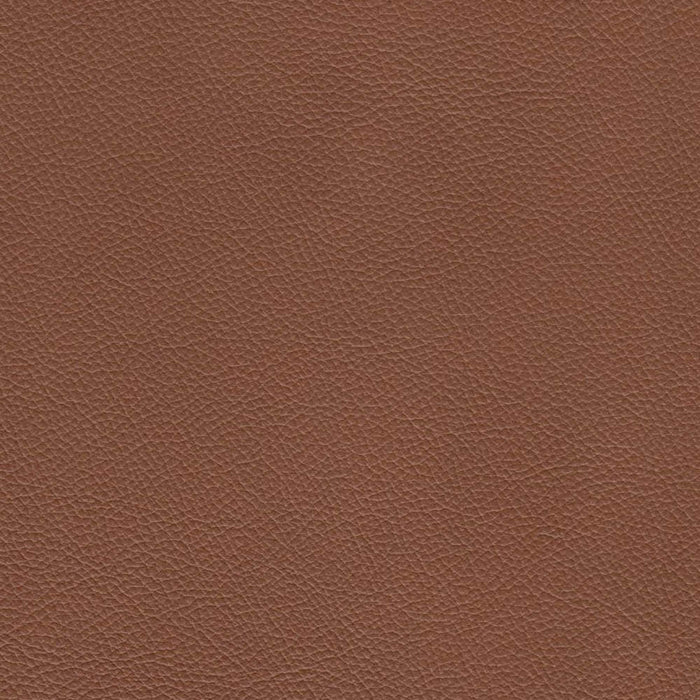 Hydeline Cassia Leather Loveseat - Brown