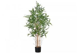 Bamboo Tree 50