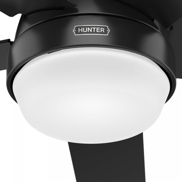 Aerodyne Ceiling Fan with Light Fixture - Black
