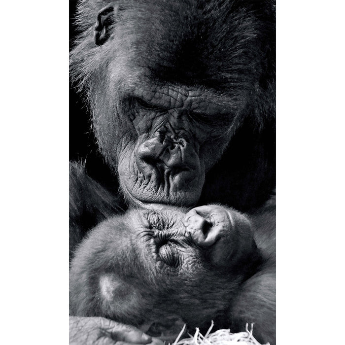 Apture Wall Art