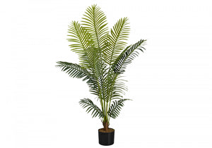 Palm Tree 57