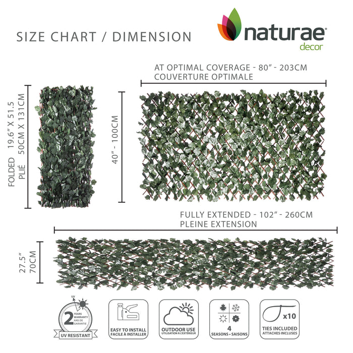 Willow Expandable Ivy Trellis - 40\" x 80\"