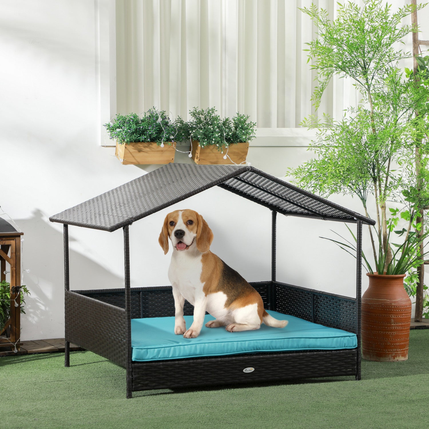 Dog rattan bed online