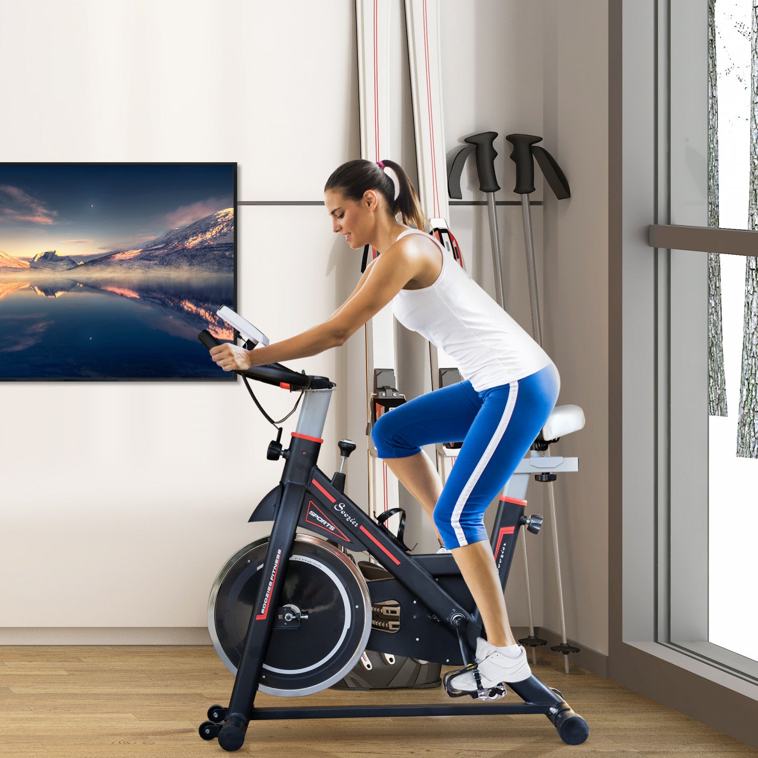 Overstock stationary bike sale