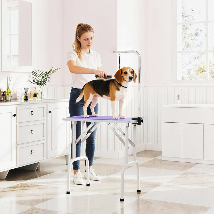 PawHut 32in Foldable Dog Grooming Table for Small Dogs, Pet Grooming Table for Dogs Cats with Adjustable Arm, Non-Slip Surface, Purple