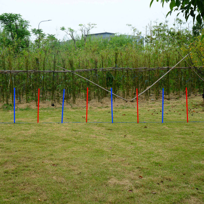 PawHut 12 PCs Dog Agility Equipment Set, Portable Dog Obedience Training Equipment with Weave Poles and Carrying Bag for Outdoor Play Run