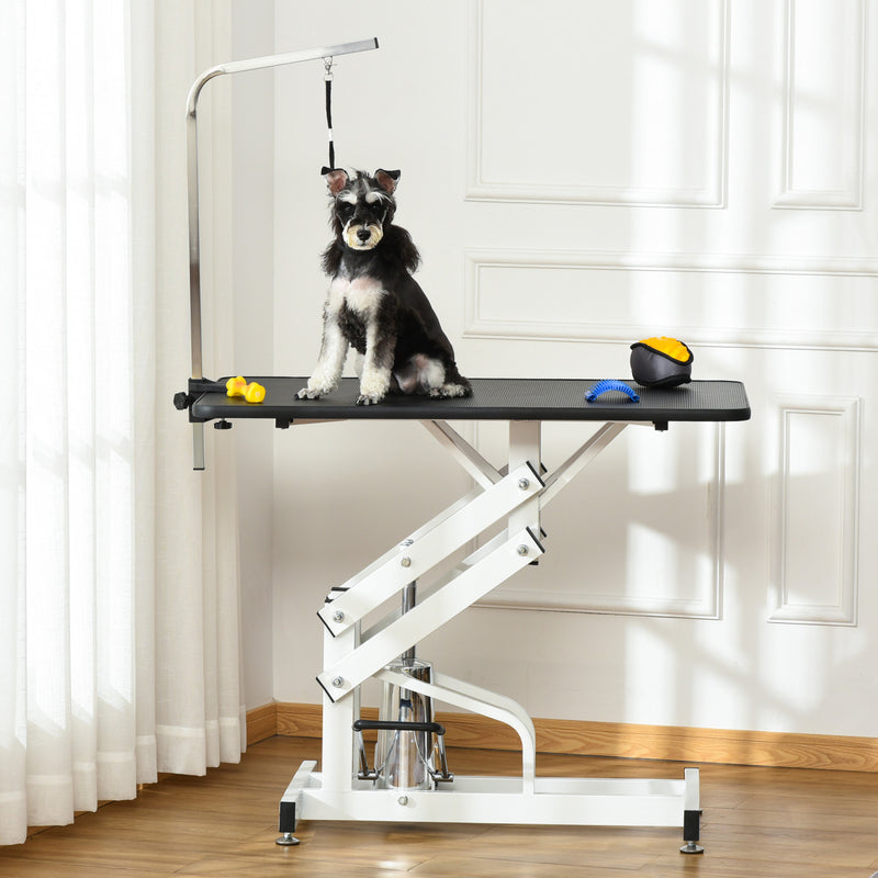 Pawhut Dog Grooming Table, Deluxe Professional Pet Grooming Table F ...