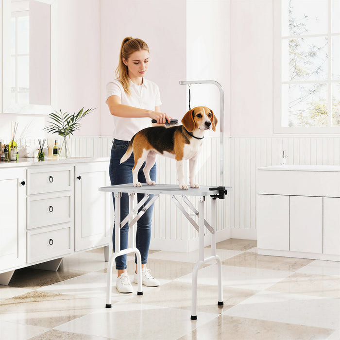 PawHut 32in Foldable Dog Grooming Table for Small Dogs, Pet Grooming Table for Dogs Cats with Adjustable Arm, Non-Slip Surface, Grey