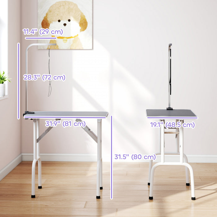 PawHut 32in Foldable Dog Grooming Table for Small Dogs, Pet Grooming Table for Dogs Cats with Adjustable Arm, Non-Slip Surface, Grey