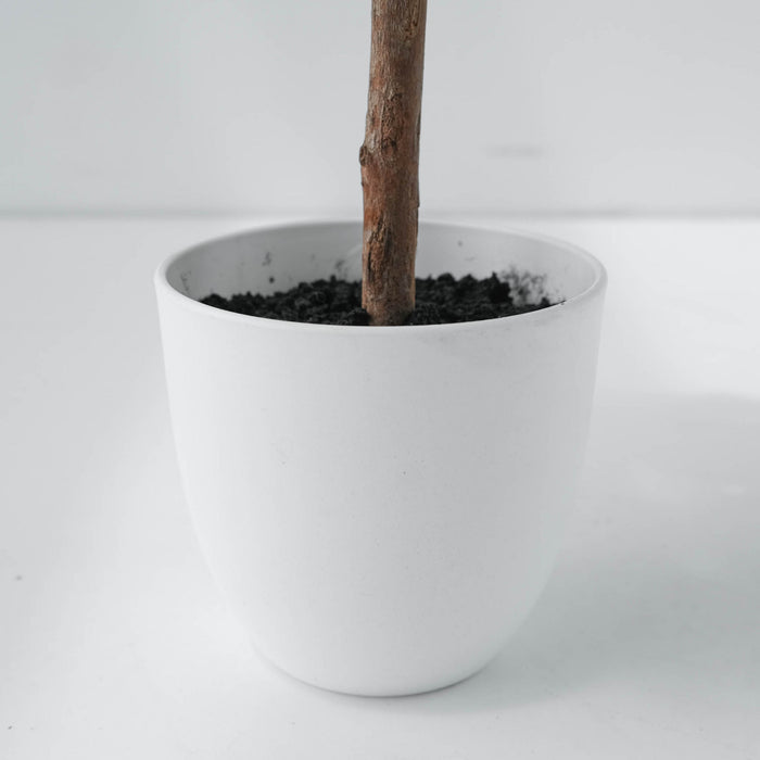 Tabletop White 22\" Poinsettia Tree