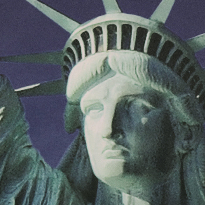 Habitat Statue Of Liberty Light Filtering Pole Top Curtain Panel Pair - 37 x 84