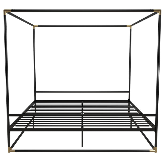 Cosmoliving By Cosmopolitan Celeste Canopy Metal King Bed - Black/Gold