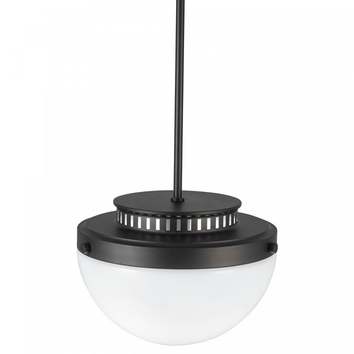 Dahlia 1 Light Pendant 12\", Black