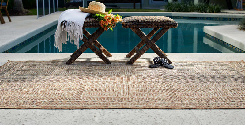 Hazel Transitional 8'0\" x 10'0\" Area Rug in Ivory Indoor Area Rug