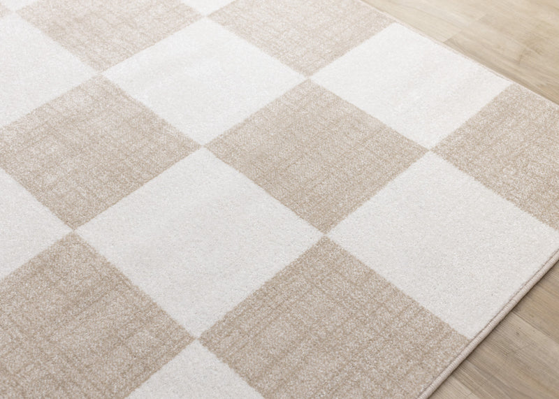 Covington Modern Checkered Indoor Area Rug - 5'3\" x 7'7\"