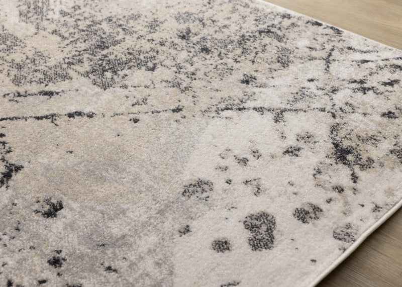 Sophie Grey Beige Black White Paint Splatter Design Rug, 5'3\" x 7'7\" Indoor Area Rug