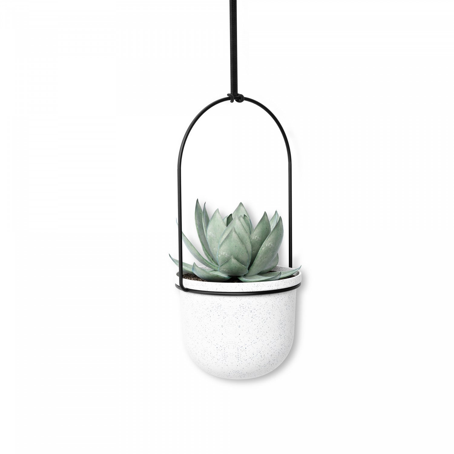 umbra bolo hanging planter white Umbra White Triflora Hanging Planter - Set of 6