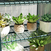 Outsunny Portable Greenhouse With 4 Tier Shelves, Pe Cover, White|Outsunny Serre Portable Avec Etageres A 4 Niveaux, Couverture En Pe, Blanc