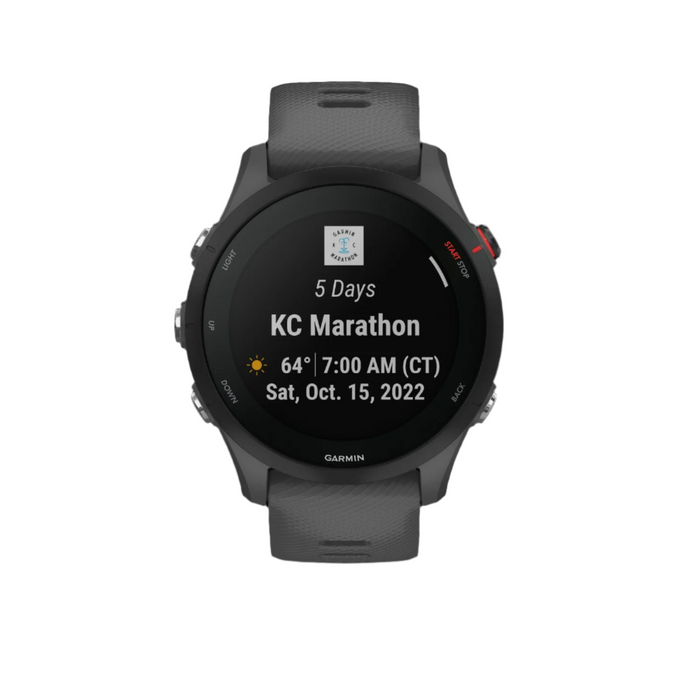 Garmin Forerunner® 255 Gps Smartwatch - Daily Health Monitoring W/ 14-day Battery Life - Slate Gray