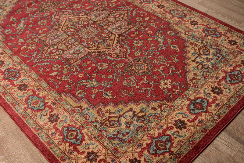 Elara Traditional 9'3\" x 12'6\" Area Rug in Red Indoor Area Rug