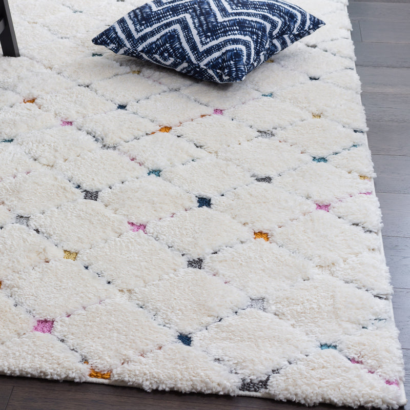 Lola Lattice Shag Area Rug - 2'7