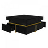 Ava High-Gloss Coffee Table with Storage Drawers and Gold Accents,Black | Ava Table Basse a Fini Haute Brillance avec Tiroirs de Rangement et Accents Dores, Noir