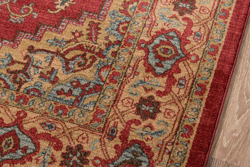 Elara Traditional 9'3\" x 12'6\" Area Rug in Red Indoor Area Rug