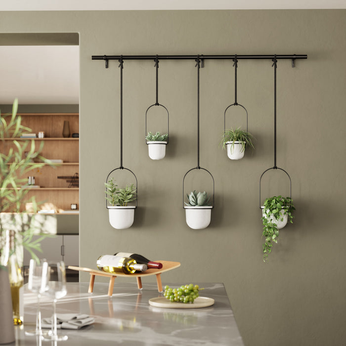 Umbra White Triflora Hanging Planter - Set of 6