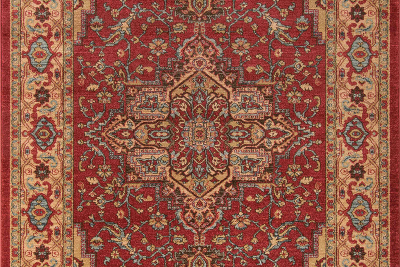 Elara Traditional 9'3\" x 12'6\" Area Rug in Red Indoor Area Rug
