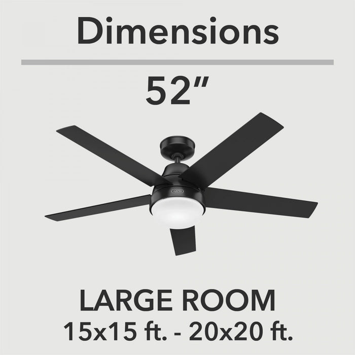 Aerodyne Ceiling Fan with Light Fixture - Black