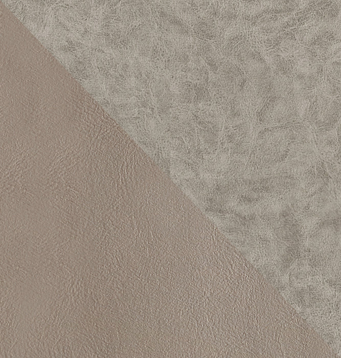 Connie Modern 6-Piece Dining Chair Set in Taupe