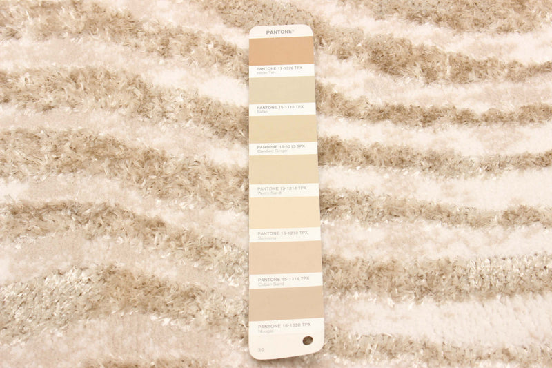 Kamala Ivory Area Rug - 5'0\" x 8'0\"