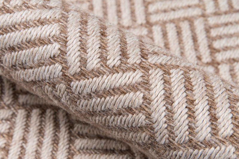 Eve Contemporary 6'7\" x 9'6\" Area Rug in Brown Indoor Area Rug