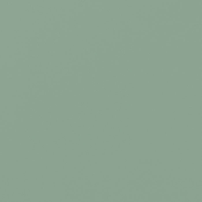 Naomi Modern 32\" Metal Accent Cabinet in Sage Green Armoire